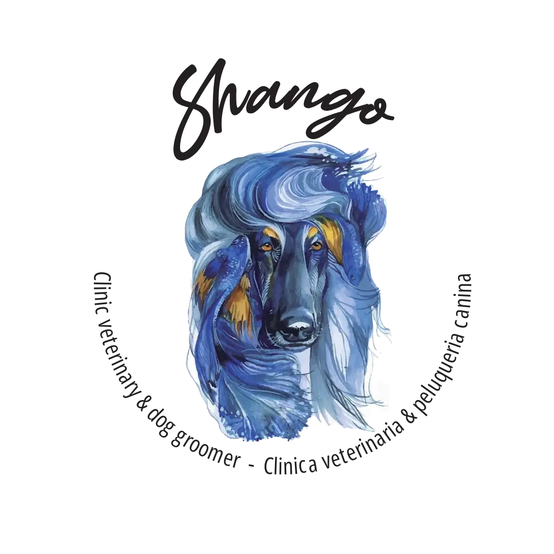 shango-veterinary-clinic-calahonda-illustration Watercolor illustration of Shangó, the Afghan hound logo of Shangó Veterinary Clinic in Calahonda